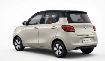 
										Wuling Mini EV full									