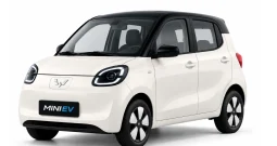 MiniEV-Scale